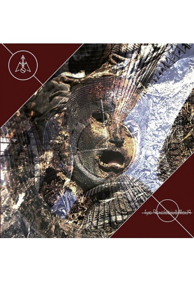 AM NOT - THE DEVELOPING WORLD cd